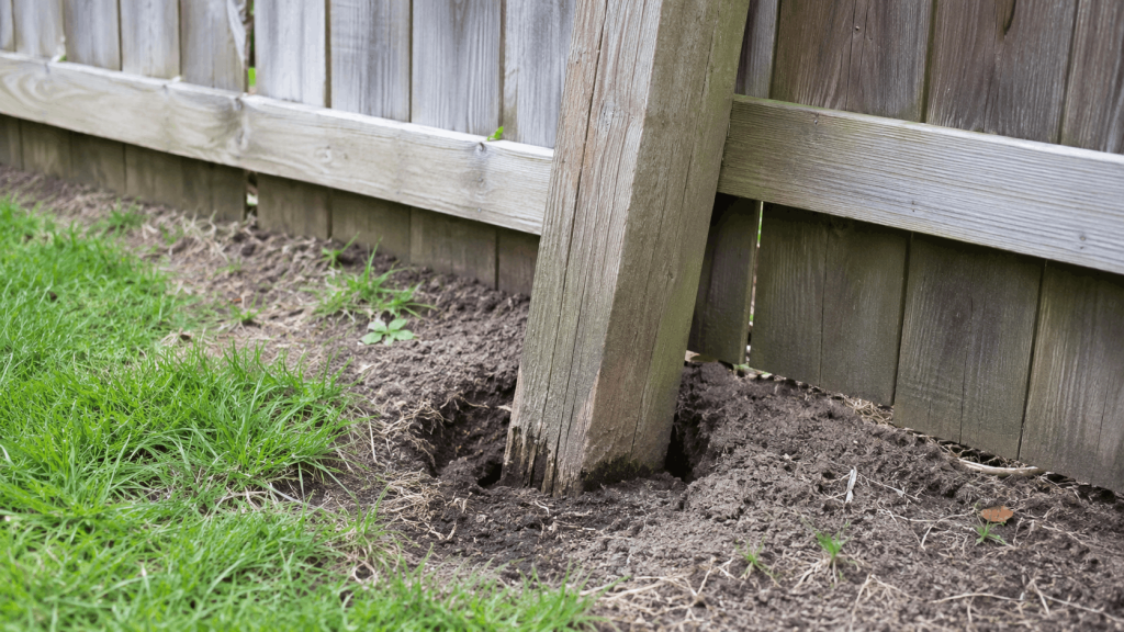 Fence repair needed for a loose wooden fence post.