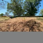 Big backyard view with green grass, dirt, and two tall trees in the background.